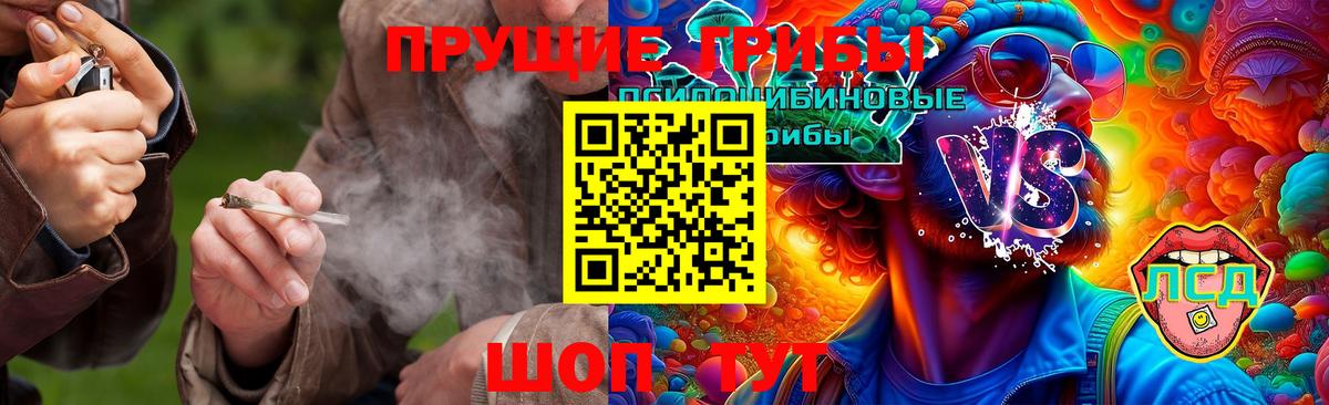 Псилоцибиновые грибы Psilocybe  Вход с VPN  Кунгур 